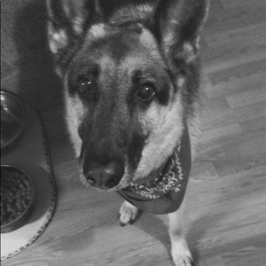 Meet your Posher, Remae